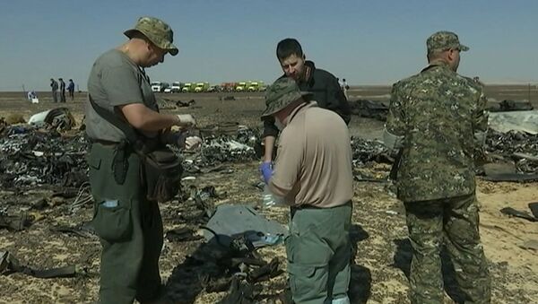 Сотрудники МЧС РФ собирали материалы для следствия на месте крушения A321 - Sputnik Молдова