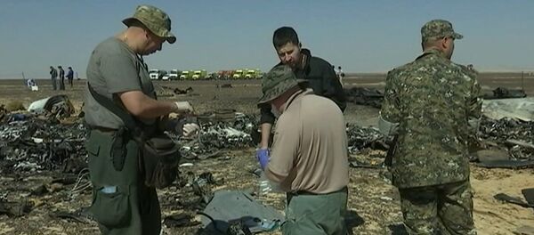 Сотрудники МЧС РФ собирали материалы для следствия на месте крушения A321 - Sputnik Moldova