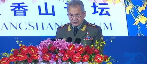 Шойгу рассказал о причинах выхода США из ДРСМД - Sputnik Молдова