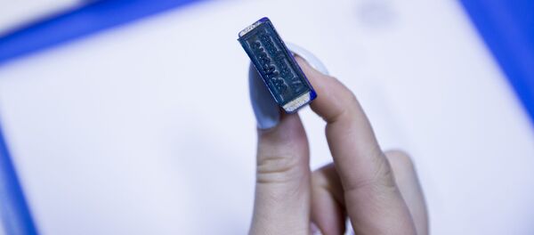 Выборы 2019 - Sputnik Moldova