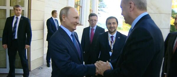 Путин включил для Эрдогана хорошую погоду в Сочи - Sputnik Молдова