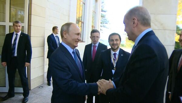 Путин включил для Эрдогана хорошую погоду в Сочи - Sputnik Молдова