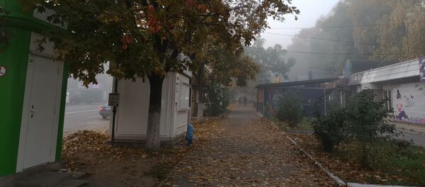 Туман в Кишиневе - Sputnik Молдова