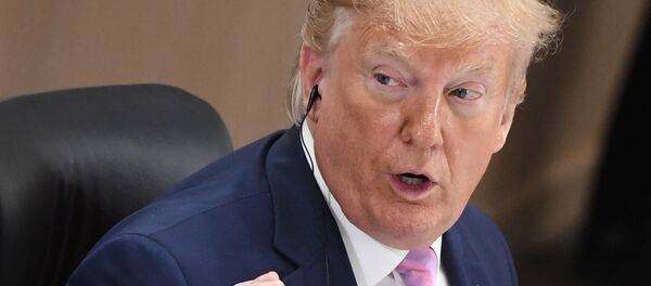 Рабочий визит президента РФ В. Путина в Японию для участия в саммите Группы двадцати - Sputnik Moldova-România