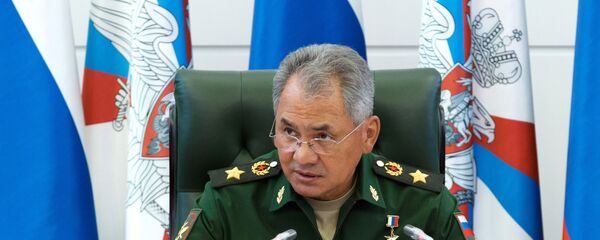 Министр обороны РФ Сергей Шойгу - Sputnik Moldova