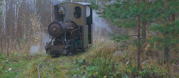 Сделано своими руками: инженер построил самодельную железную дорогу и паровоз Сделано своими руками: инженер построил самодельную железную дорогу и паровоз - Sputnik Молдова