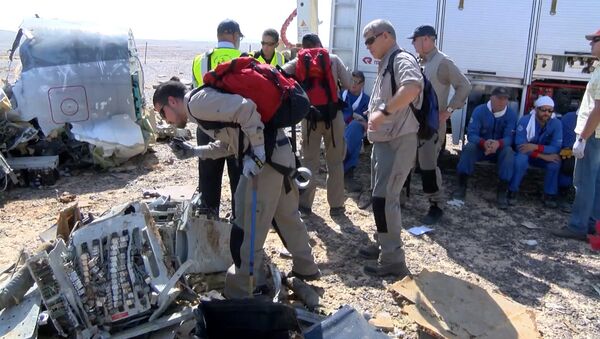 Спутник_Иностранные специалисты фотографировали фрагменты разбившегося в Египте A321 - Sputnik Moldova