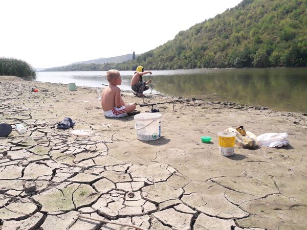 Кем я стану, когда вырасту? Кем я стану, когда вырасту? - Sputnik Молдова