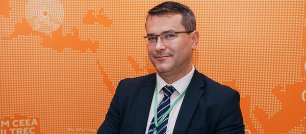 Анатол Усатый - Sputnik Молдова