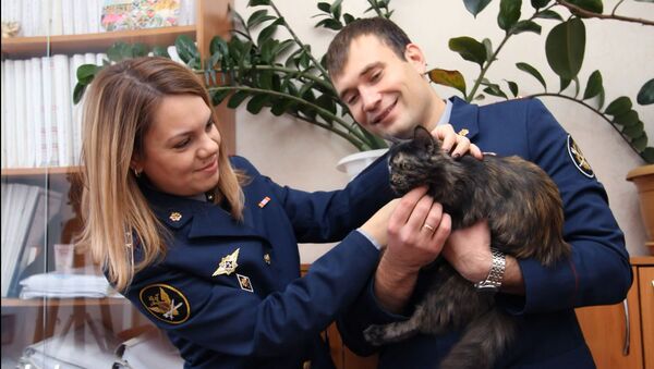 Кошка-наркокурьер поймана с поличным - Sputnik Молдова
