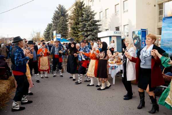 Festivalul vinului „Gagauz Șarap Yortusu” în Găgăuzia. - Sputnik Moldova