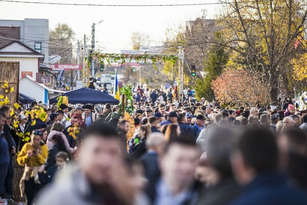 Festivalul adună anual, zeci de mii de vizitatori din întreaga Republica Moldova și din străinătate.  - Sputnik Moldova