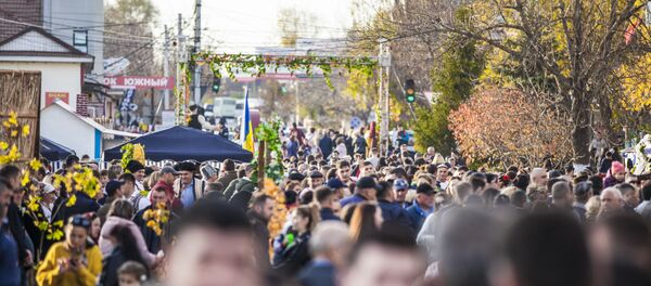 День вина в Гагаузии - Sputnik Moldova