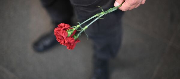 Гвоздики. Архивное фото Гвоздики. Архивное фото - Sputnik Молдова