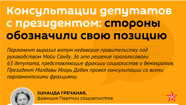 Консультации депутатов с президентом - Sputnik Молдова