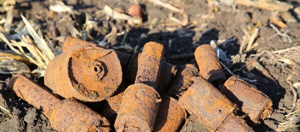 Работы по поискам останков погибших воинов ВОВ в Донецкой области - Sputnik Молдова