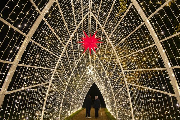 Посетители в парке Пильниц в Дрездене, украшенном к Рождеству - Sputnik Moldova-România