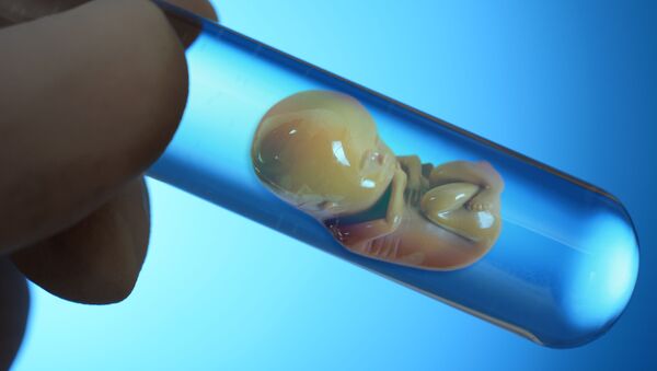Модель эмбриона в пробирке - Sputnik Moldova-România