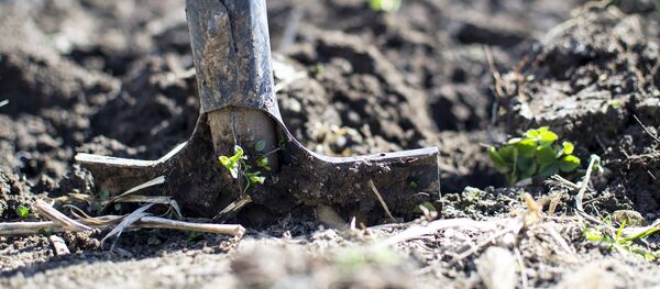 Лопата - Sputnik Молдова