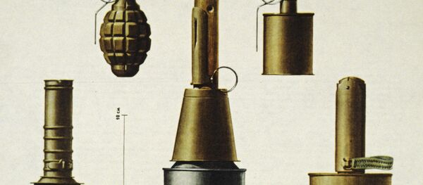 Гранаты Ф-1, РГ-42, РПГ-43, РПГ-40 - Sputnik Молдова