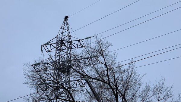 Operațiunea de salvare a persoanei implicate în intervenția neautorizată în rețelele electrice - Sputnik Moldova