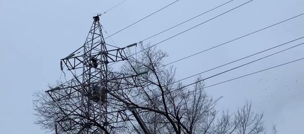 Momentul în care salvatorii încearcă să salveze viața bărbatului care s-a urcat pe o linie de electricitate de înaltă tensiune Momentul în care salvatorii încearcă să salveze viața bărbatului care s-a urcat pe o linie de electricitate de înaltă tensiune - Sputnik Молдова