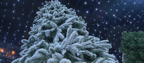 Украшение Кишинева к зимним праздникам. - Sputnik Молдова