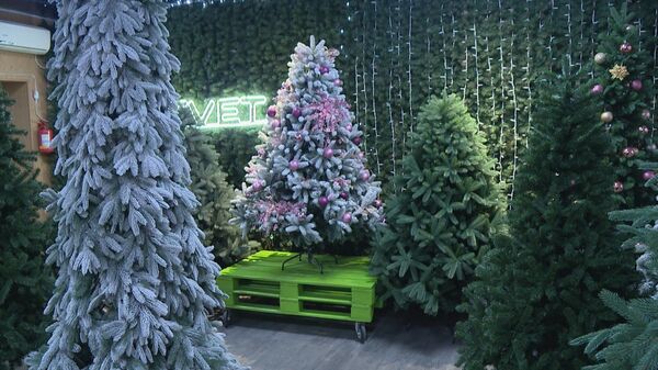 Скоро Новый год: как Кишинев облачается в праздничное одеяние - фото - Sputnik Молдова