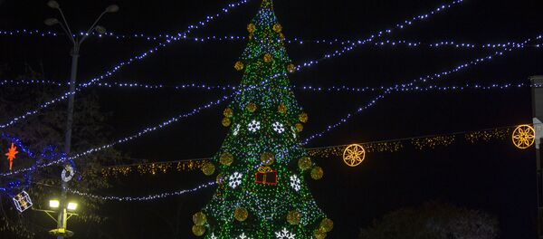 Новогодняя елка в Кишиневе. Архивное фото - Sputnik Молдова