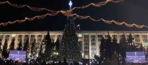 Bradul inaugurat la Chisinau - video - Sputnik Moldova