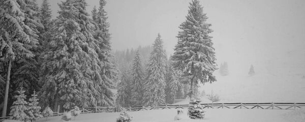 Parcul Natural Bucegi Parcul Natural Bucegi - Sputnik Moldova-România