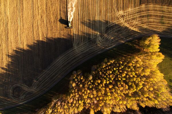 Уборка урожая зерновых в Новосибирской области - Sputnik Молдова