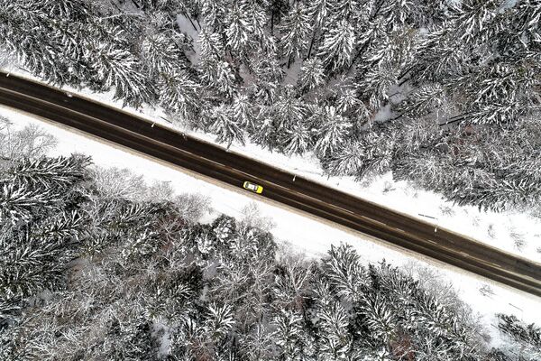 Автомобиль на дороге через Троицкий лес в Москвы - Sputnik Молдова