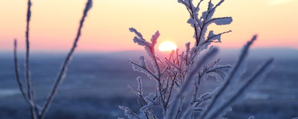 hiver  - Sputnik Молдова