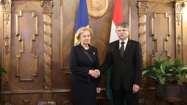 Vizita oficială a Președintelui Parlamentului Zinaida Greceanîi în Ungaria - Sputnik Moldova