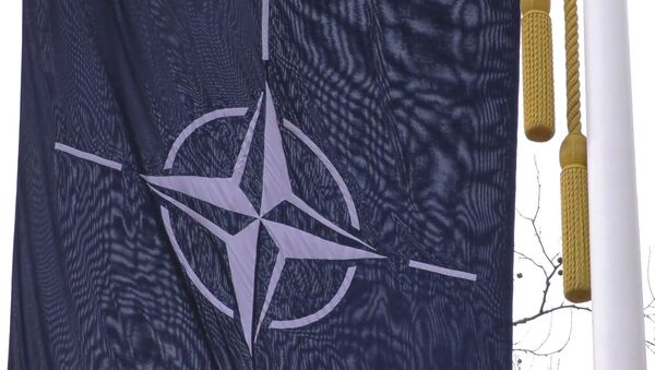 Развал НАТО: сможет ли альянс сохранить единство - Sputnik Молдова