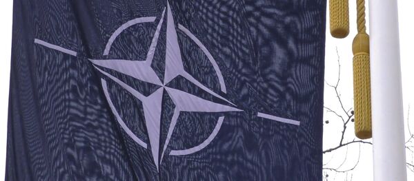 Развал НАТО: сможет ли альянс сохранить единство Развал НАТО: сможет ли альянс сохранить единство - Sputnik Молдова