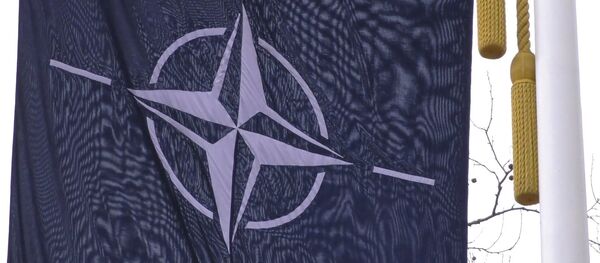 Destrămarea NATO: va reuși Alianța să-și păstreze unitatea? - Sputnik Moldova