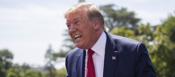 Президент Дональд Трамп - Sputnik Молдова