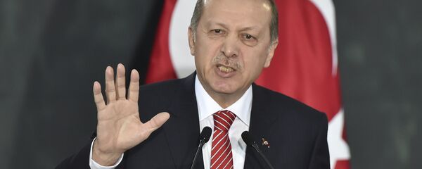 Presidente turco Erdogan - Sputnik Moldova