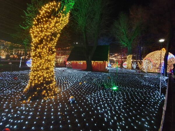 Праздник - совсем близко: в Кишиневе открыли Рождественскую ярмарку - видео - Sputnik Молдова