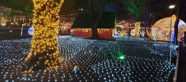 Inaugurarea Târgului de Crăciun 2020 - Sputnik Moldova