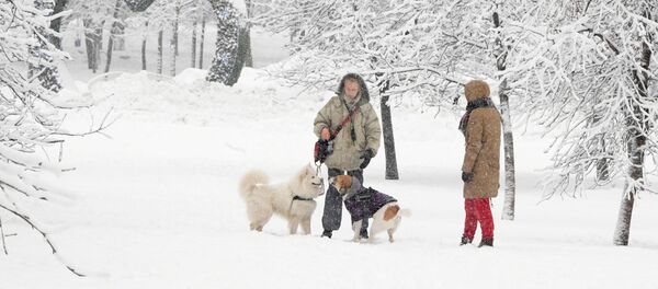 Прохожие в заснеженном сквере - Sputnik Молдова