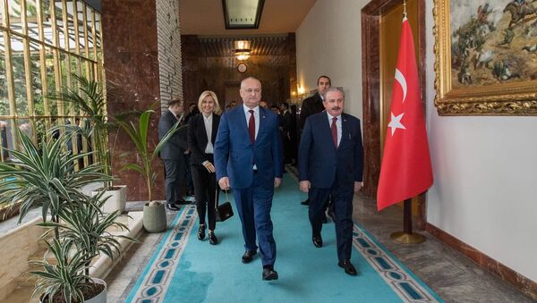 Vizita oficială a președintelui Igor Dodon în Republica Turcia - Sputnik Moldova