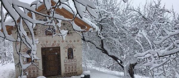 Oricova, Călărași - Sputnik Moldova