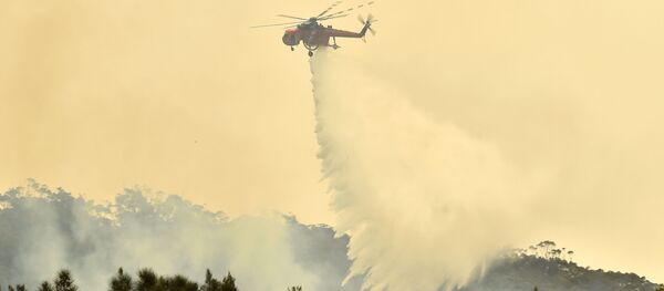 Последствие лесных пожаров в Австралии Последствие лесных пожаров в Австралии - Sputnik Moldova-România