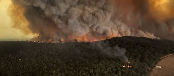 Incendii de vegetaţie în Australia - Sputnik Moldova