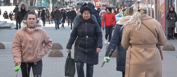 Какие новогодние елки предпочитают граждане Молдовы Какие новогодние елки предпочитают граждане Молдовы - Sputnik Молдова