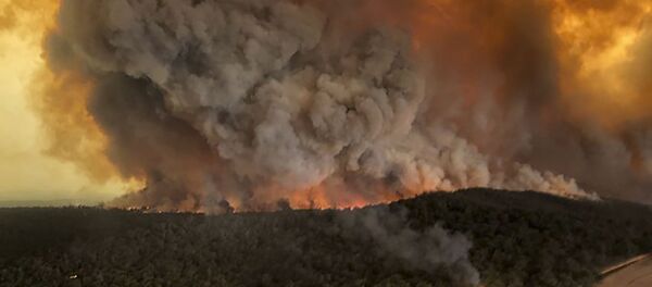 Les incendies en Australie Les incendies en Australie - Sputnik Moldova-România