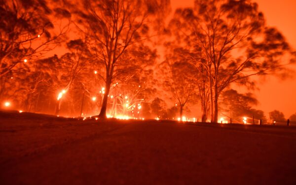 Incendii de vegetaţie în Australia - Sputnik Moldova